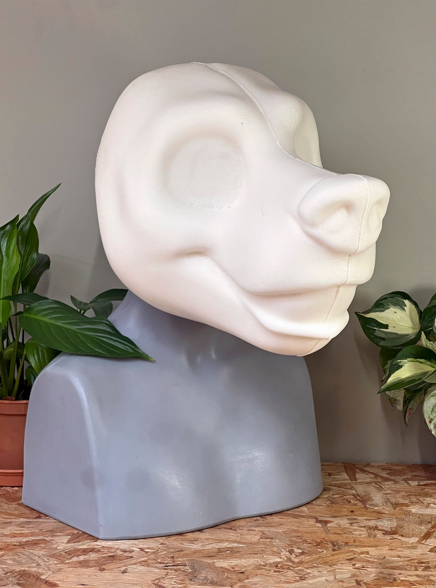 Toony Bear base