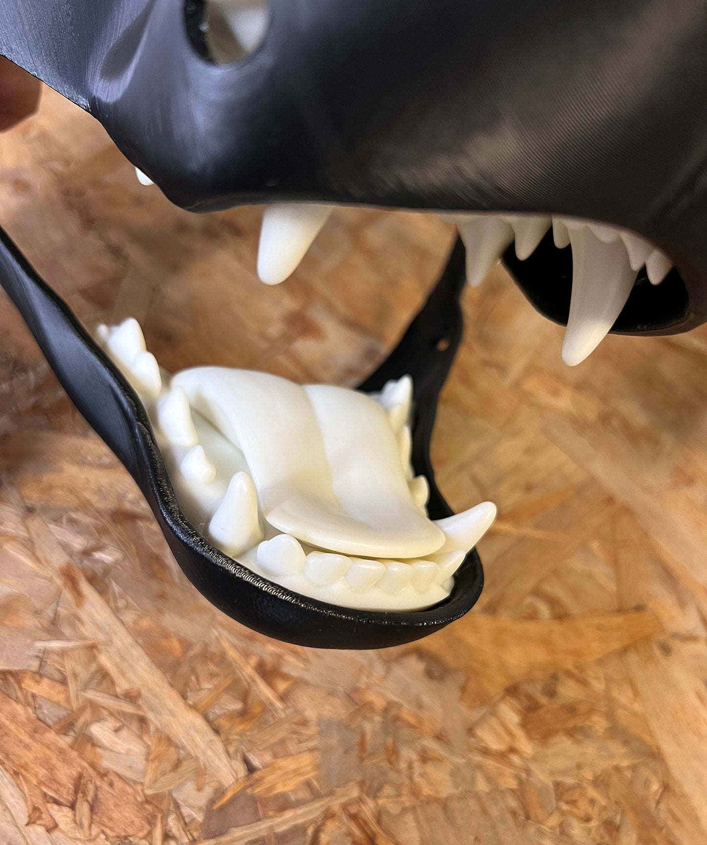 Resin Printed canine jaw set