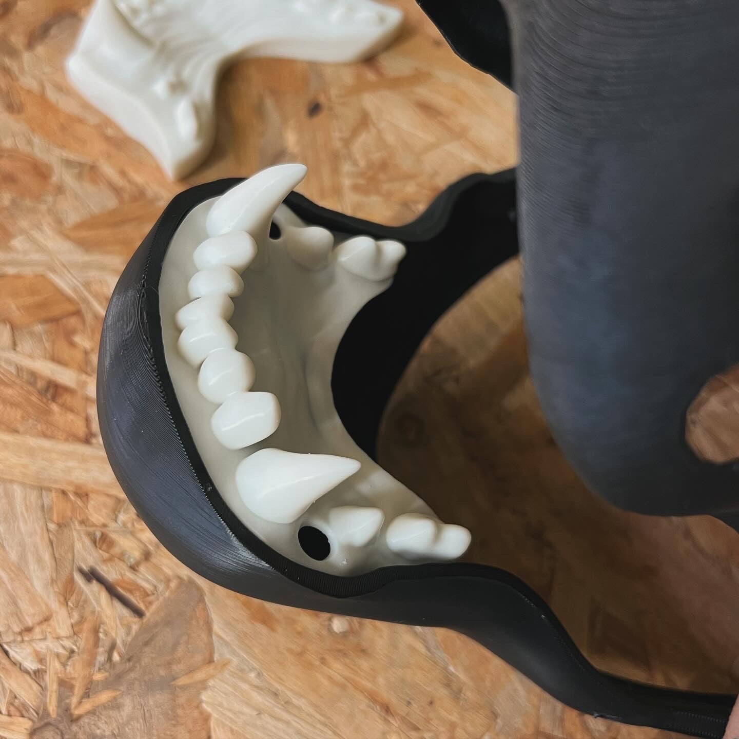 Resin Printed big cat jaw set