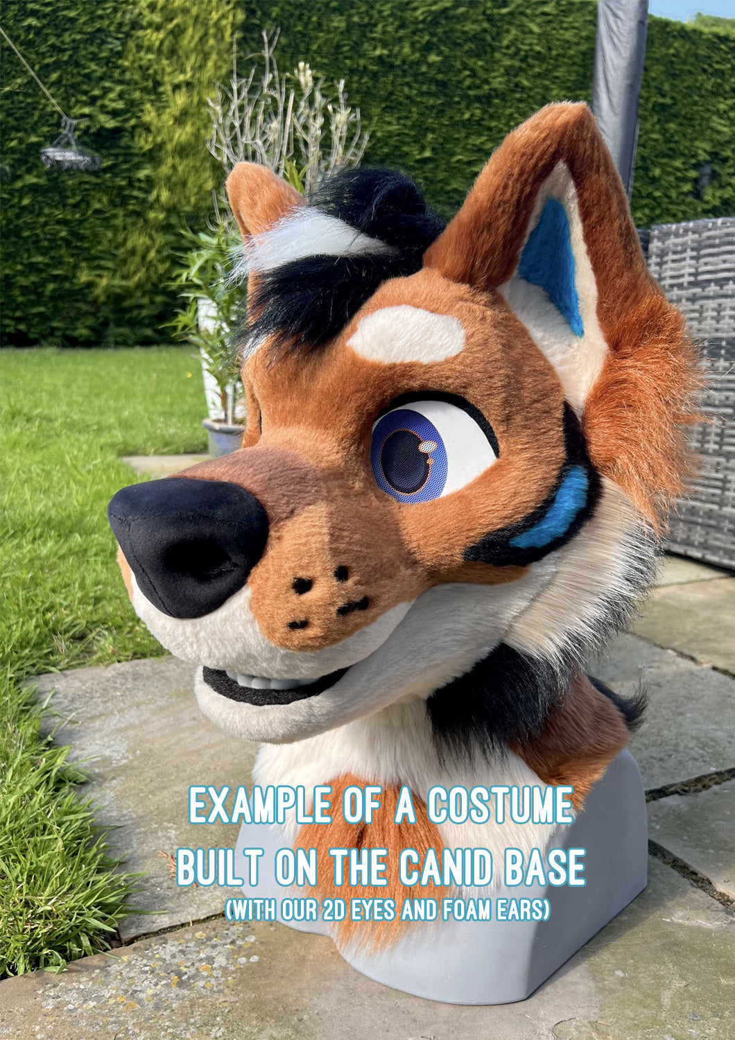 Toony Canid Foam base