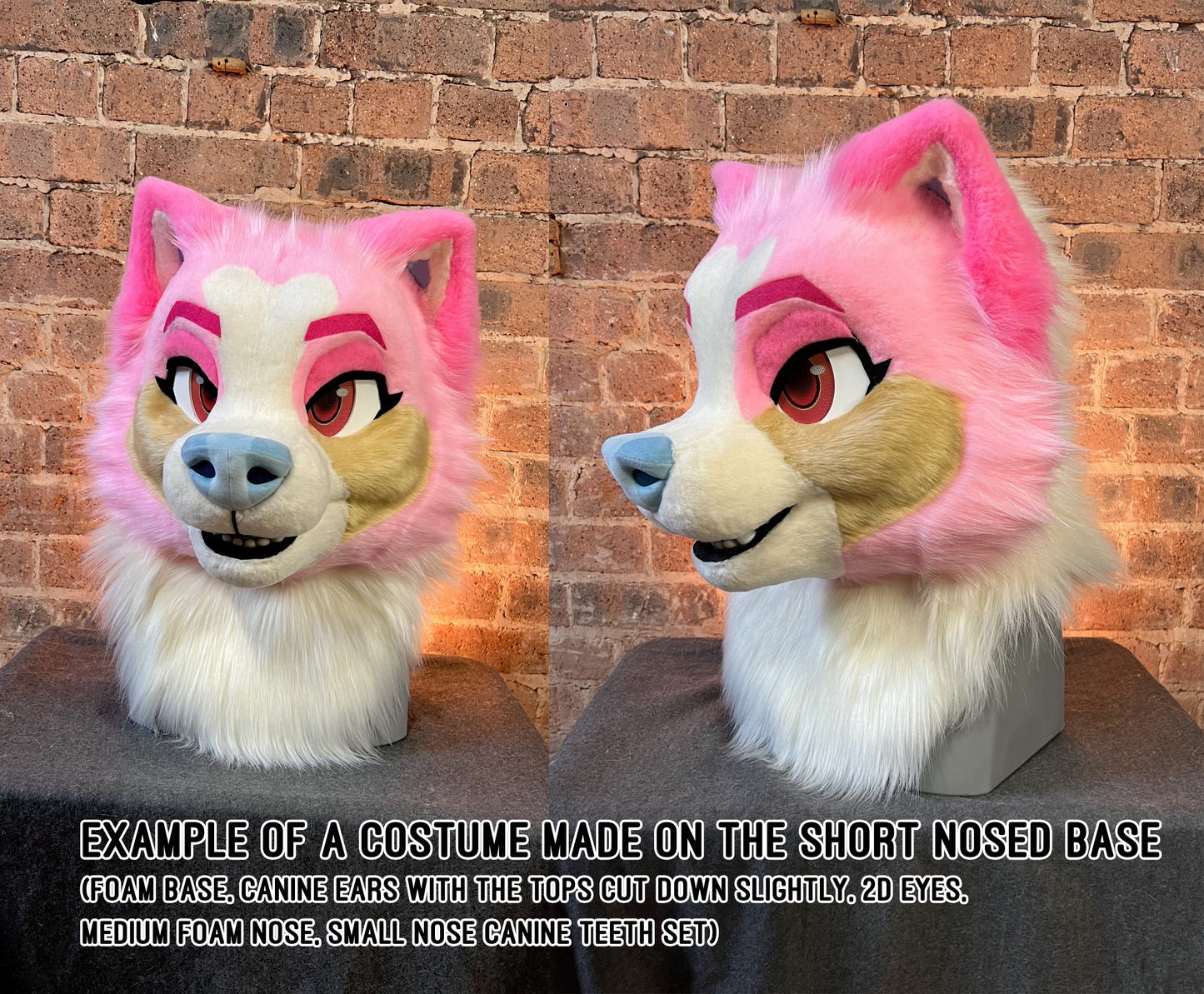 Toony small-nose Canid Foam Base
