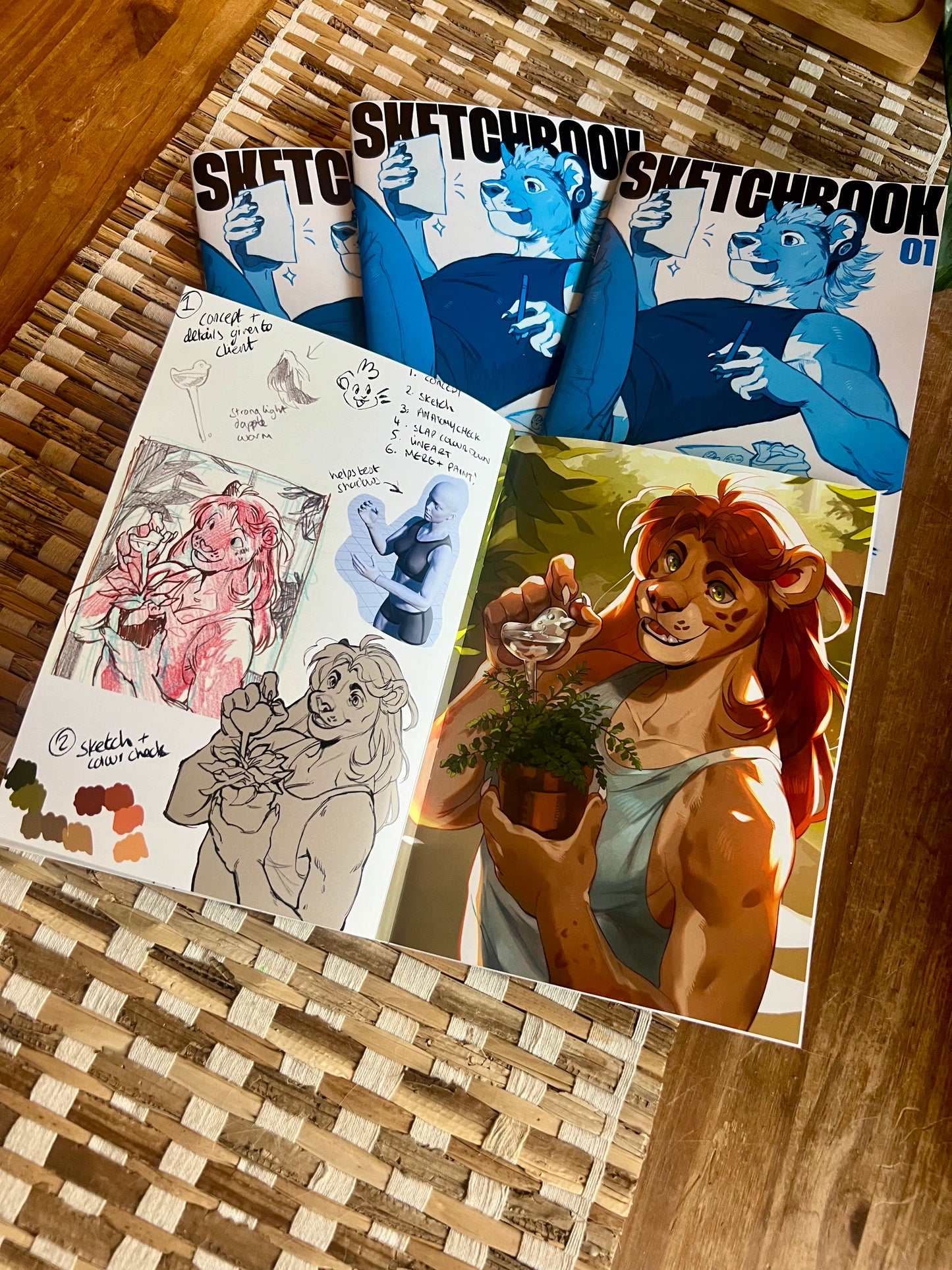 Bigroundlion Sketchbook Volume 1