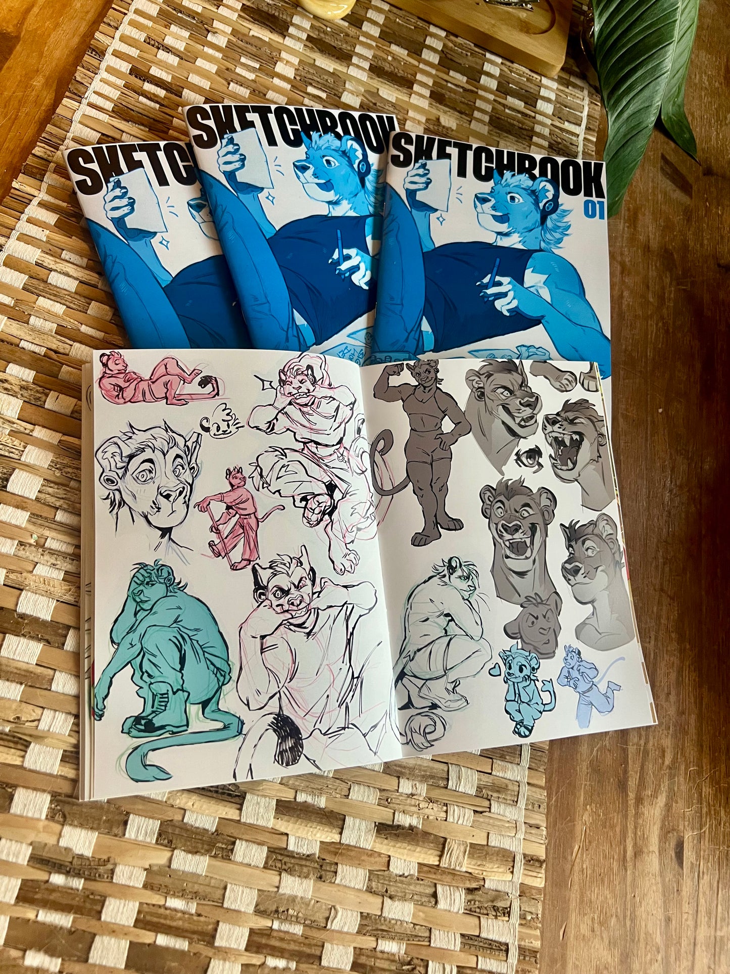 Bigroundlion Sketchbook Volume 1